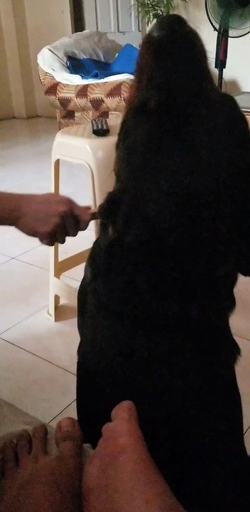 thanos 