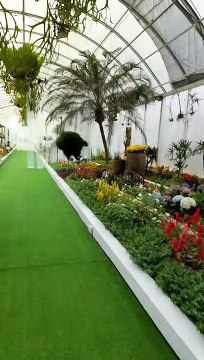 what wonderful garden