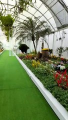 what wonderful garden