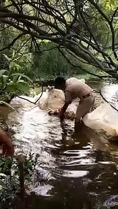 अवैध शराब के विरुद्ध कार्यवाही, 654 लीटर अवैध क...