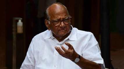 Param Bir Singh Re-Instated Sachin Vaze: Sharad Pawar