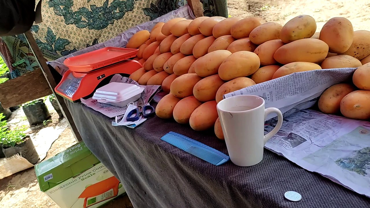 Mangga pk kayo jan