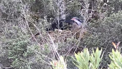 Yol kenarında kafası bedeninden ayrılmış cansız beden bulundu