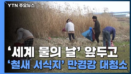 '세계 물의 날' 앞두고...'철새 서식지' 만경강 대청소 / YTN