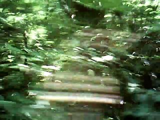 Molly Malone balalaika