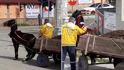 Vicdansız adam aşırı yükü çekemeyen atına keserle işkence yaptı