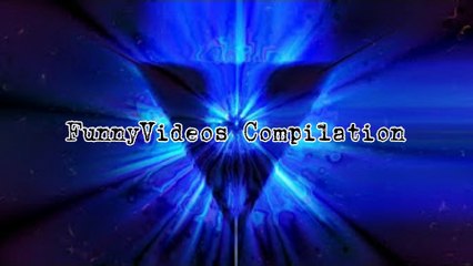 Funny Videos Compilation