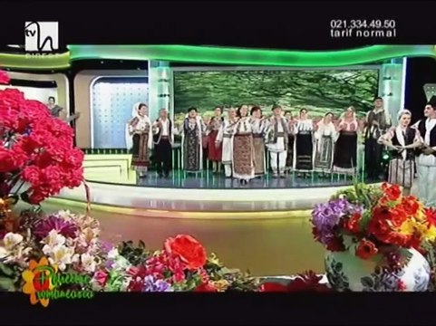 Ioana State - Uite, ce seara frumosa (Petrecere romaneasca - Tvh - 12.07.2014)