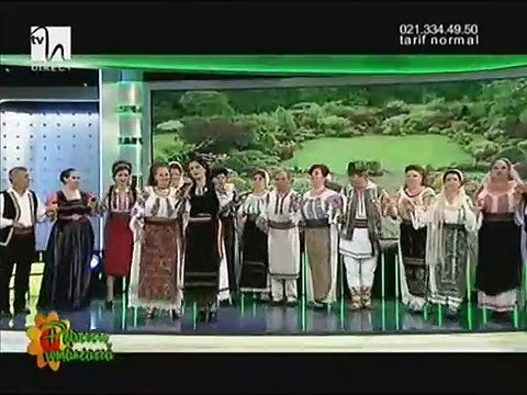 Alina Sarbu - Mama mea cu suflet bland (Petrecere romaneasca - Tvh - 12.07.2014)