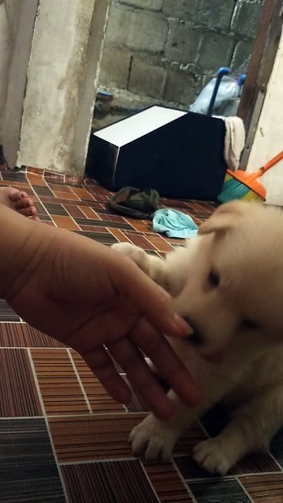 my baby Oni