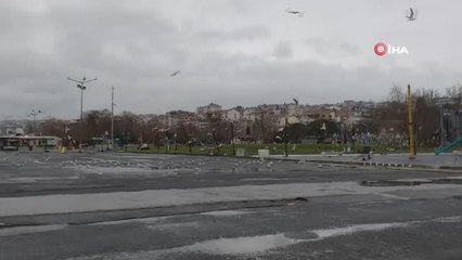Sahil martılara kaldı