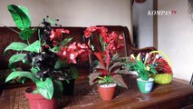 Kreatif Ibu Rumah Tangga Kreasikan Kantong Plastik Bekas Jadi Bunga Hias