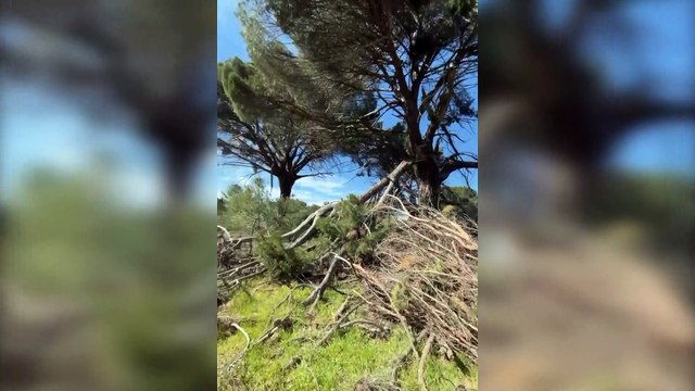 Guti y Romina Belluscio disfrutan de sus hijos en el campo