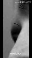 autodesk sketchbook drawinh