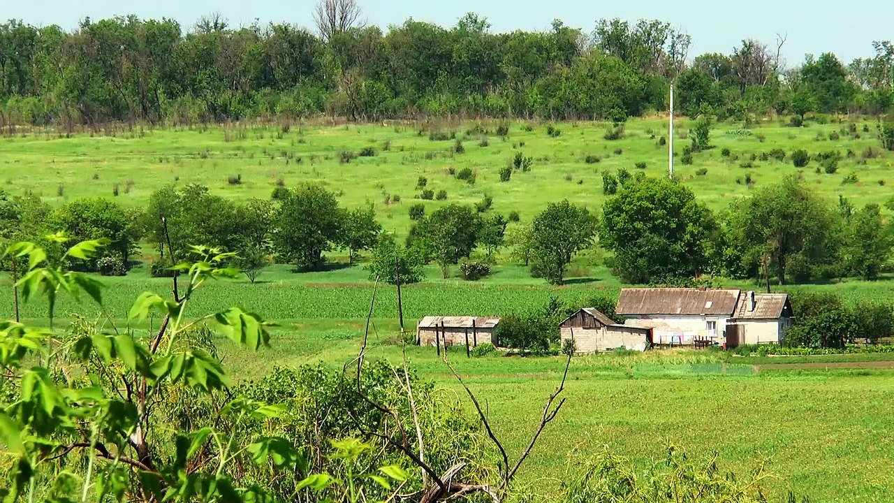 A day in the countryside and on the farm to enjoy and relax. Sound of animals on the farm.