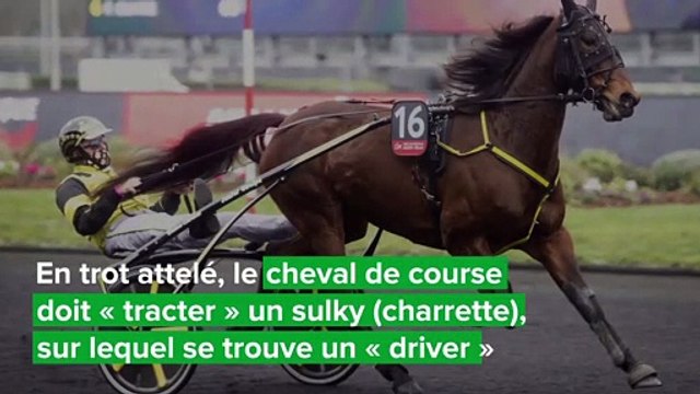 Qu'est ce qu'est une course de trot ?