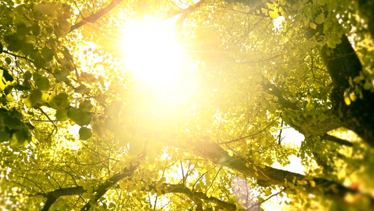 Spring is getting warmer and coming sooner: What does that mean?