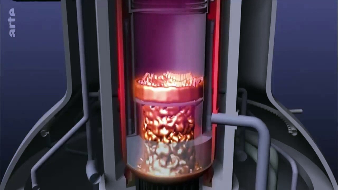 Fukushima Chronique d'un désastre Reportage