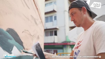 IPAF : Des graffeurs respectueux de l'environnement - Positive Outre-mer (04/03/2021)