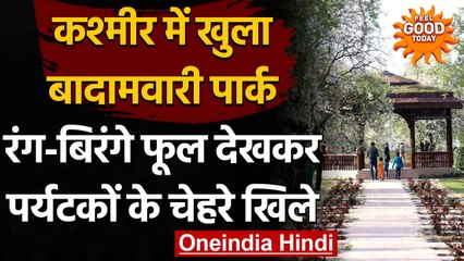 Kashmir में खुला Badamwari Park, रंग-बिरंगे फूल देखकर पर्यटकों के चेहरे खिले, देखिए | वनइंडिया हिंदी
