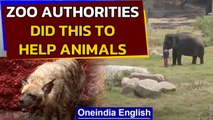 Nehru Zoo makes special arrangements to help animals beat the heat | Oneindia News
