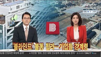 [이슈큐브] '블라인드' 불똥 튈라…기업들 경계령