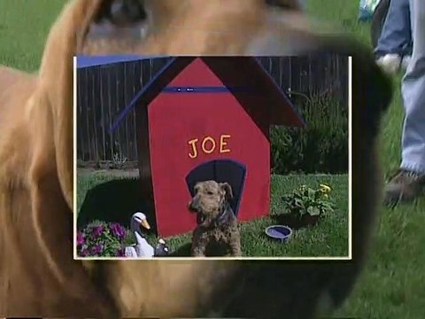 Heres Looking at You Kid - SD