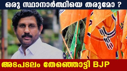 BJP supports independent candidate in devikulam