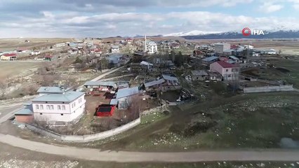 Köyün 100 yıllık misafirleri, yuvalarına yerleşti