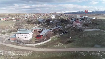 Köyün 100 yıllık misafirleri, yuvalarına yerleşti