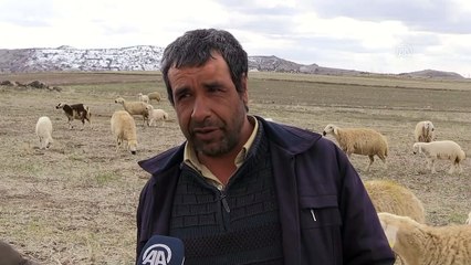 NEVŞEHİR - Engelli çoban hibe desteğiyle sürü sahibi oldu