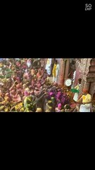 Holi special status