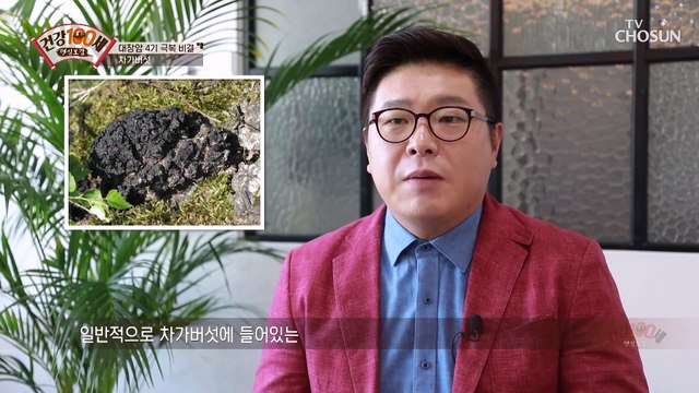 대장암 예방에 도움 주는 ❛차가버섯❜ TV CHOSUN 210322 방송