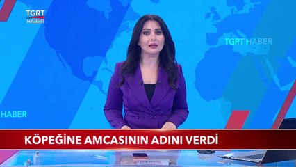 Kraliçe Elizabeth Köpeğine Amcasının Adını Verdi
