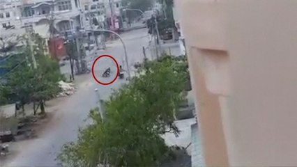Tragis Terekam Detik-detik Pemotor Diduga Ditembak oleh Polisi Myanmar