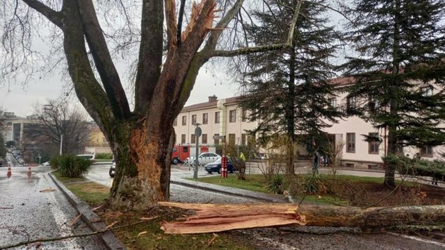 Türkiye Büyük Millet Meclisi bahçesine yıldırım düştü