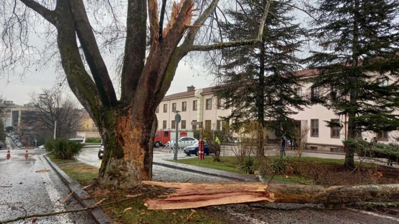 Türkiye Büyük Millet Meclisi bahçesine yıldırım düştü