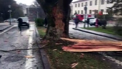 Türkiye Büyük Millet Meclisi bahçesine yıldırım düştü. Bir ağaç yıldırım düşmesi sonucu yarıldı.