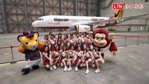 中職》雙強出擊！ 「台灣虎航×Rakuten Monkeys」首架彩繪機登場