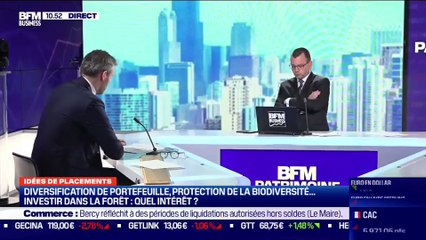 Idée de placements: Comment procéder pour investir dans un groupement forestier ? - 22/03