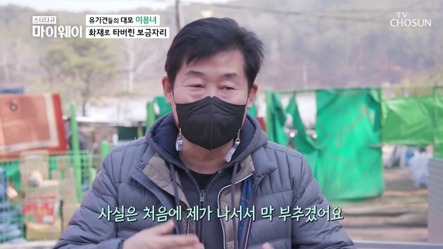 도움의 손길로 까만 때를 벗고 새 단장중인 보호소εїз TV CHOSUN 210322 방송