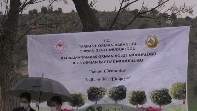 Son dakika haberi... Orman Haftası etkinlikleri kapsamında, yangında zarar gören alanlara fidan dikildi