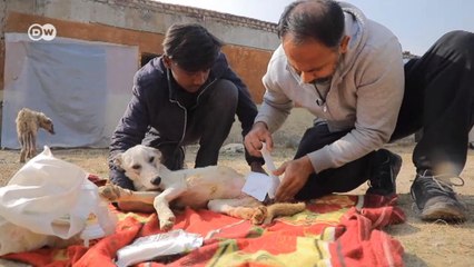 Pakistan: Military veteran quits service to open dog shelter