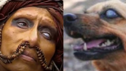 Ajab Gajab: इस गांव में महिला पुरूष और जानवर सभी है अंधे, जानिए वजह | Boldsky