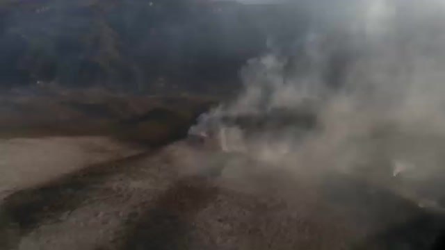 Medio centenar de incendios arrasan miles de hectáreas de bosque en México