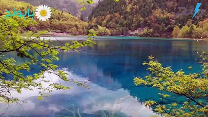 لحظة الانقراض-كَوْكَبُ الْيَابَانْ