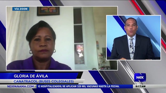 Entrevista a Gloria De Ávila, secretaria general de la cámara de transporte colegiales - Nex Noticias