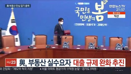與, 부동산 실수요자 대출 규제 완화 추진