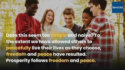 It's Time for A New Political Movement | NewsUSA TV | Community