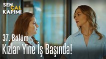 Kızlar yine iş başında! - Sen Çal Kapımı 37. Bölüm
